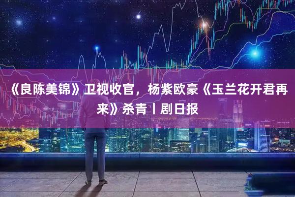 《良陈美锦》卫视收官，杨紫欧豪《玉兰花开君再来》杀青丨剧日报